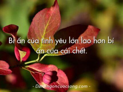 Bí ẩn của tình yêu lớn lao hơn bí ẩn của cái chết.