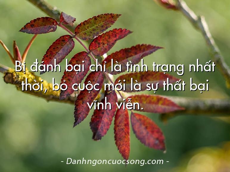 Bị đánh bại chỉ là tình trạng nhất thời, bỏ cuộc mới là sự thất bại vĩnh viễn.