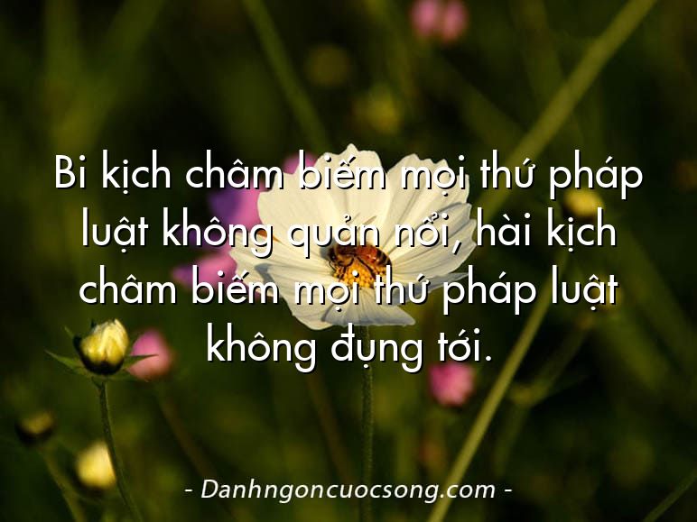 Bi kịch châm biếm mọi thứ pháp luật không quản nổi, hài kịch châm biếm mọi thứ pháp luật không đụng tới.