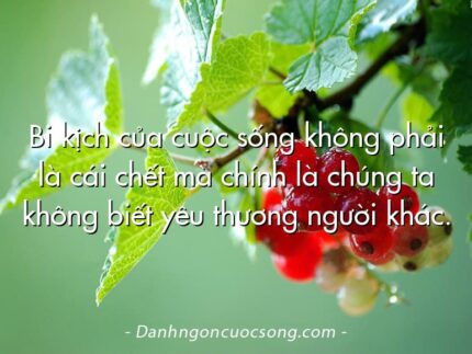 Bi kịch của cuộc sống không phải là cái chết mà chính là chúng ta không biết yêu thương người khác.