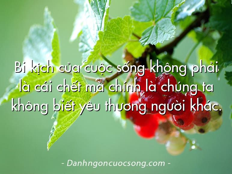Bi kịch của cuộc sống không phải là cái chết mà chính là chúng ta không biết yêu thương người khác.