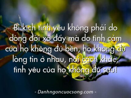 Bi kịch tình yêu không phải do dòng đời xô đẩy mà do tình cảm của họ không đủ bền, họ không đủ lòng tin ở nhau, nói cách khác, tình yêu của họ không đủ sâu!