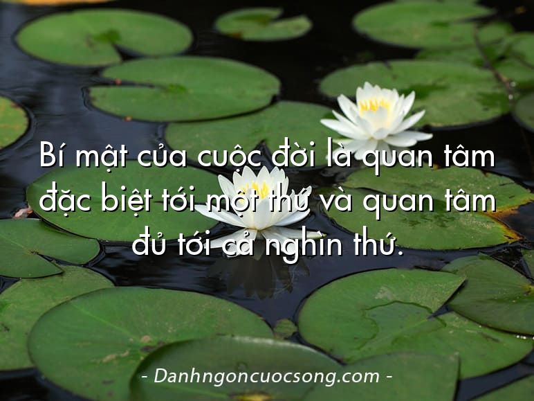 Bí mật của cuộc đời là quan tâm đặc biệt tới một thứ và quan tâm đủ tới cả nghìn thứ.