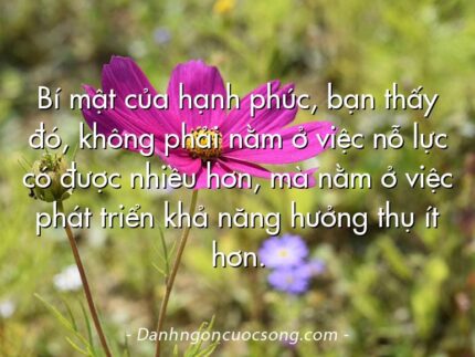 Bí mật của hạnh phúc, bạn thấy đó, không phải nằm ở việc nỗ lực có được nhiều hơn, mà nằm ở việc phát triển khả năng hưởng thụ ít hơn.