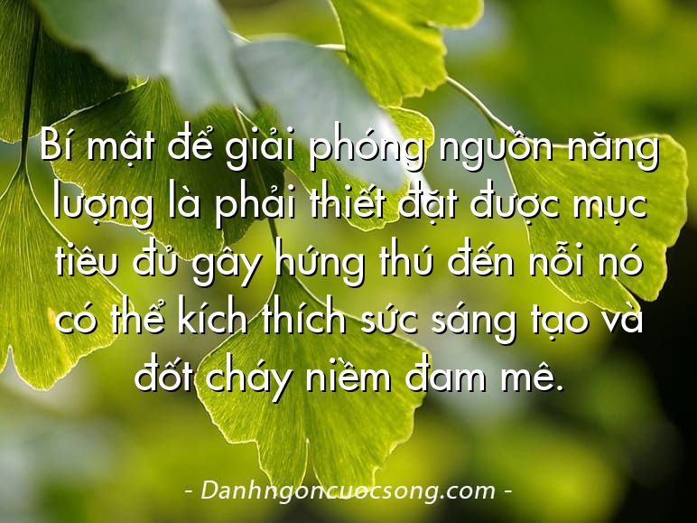 Bí mật để giải phóng nguồn năng lượng là phải thiết đặt được mục tiêu đủ gây hứng thú đến nỗi nó có thể kích thích sức sáng tạo và đốt cháy niềm đam mê.