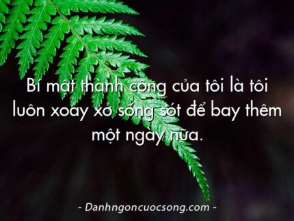 Bí mật thành công của tôi là tôi luôn xoay xở sống sót để bay thêm một ngày nữa.