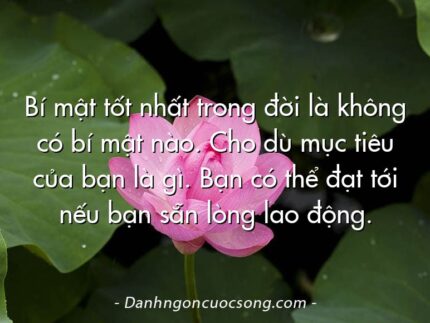Bí mật tốt nhất trong đời là không có bí mật nào. Cho dù mục tiêu của bạn là gì. Bạn có thể đạt tới nếu bạn sẵn lòng lao động.