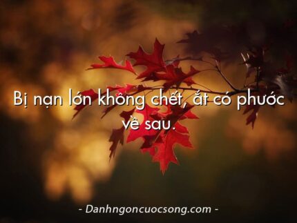 Bị nạn lớn không chết, ắt có phước về sau.