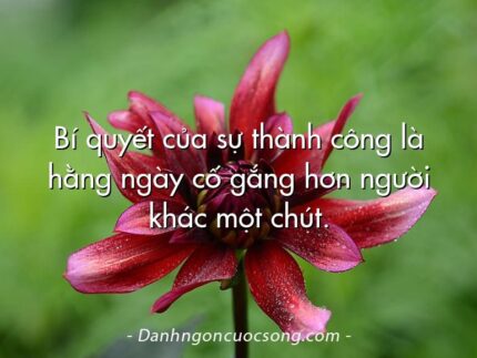 Bí quyết của sự thành công là hằng ngày cố gắng hơn người khác một chút.