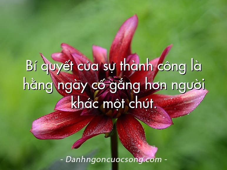 Bí quyết của sự thành công là hằng ngày cố gắng hơn người khác một chút.