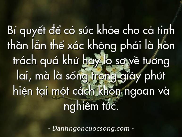Bí quyết để có sức khỏe cho cả tinh thần lẫn thể xác không phải là hờn trách quá khứ hay lo sợ về tương lai, mà là sống trong giây phút hiện tại một cách khôn ngoan và nghiêm túc.