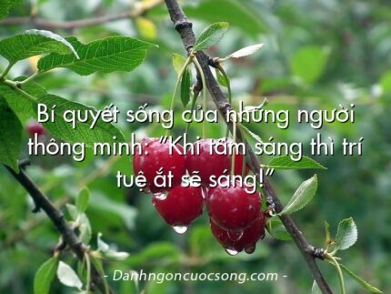 Bí quyết sống của những người thông minh: “Khi tâm sáng thì trí tuệ ắt sẽ sáng!”