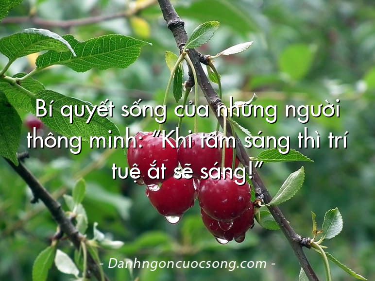 Bí quyết sống của những người thông minh: “Khi tâm sáng thì trí tuệ ắt sẽ sáng!”
