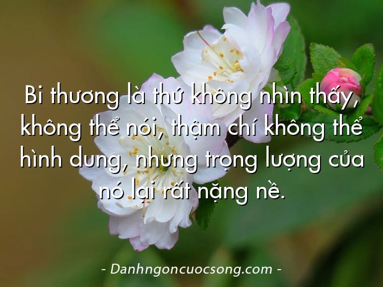 Bi thương là thứ không nhìn thấy, không thể nói, thậm chí không thể hình dung, nhưng trọng lượng của nó lại rất nặng nề.