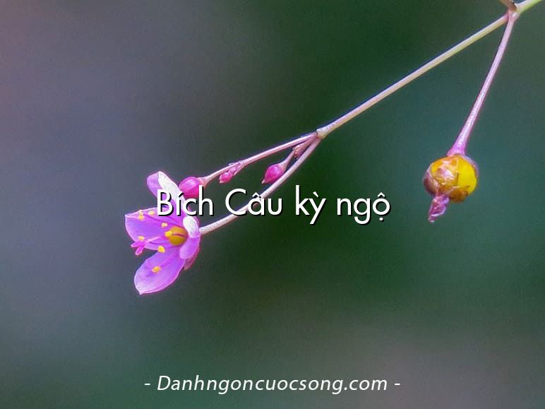 Bích Câu kỳ ngộ