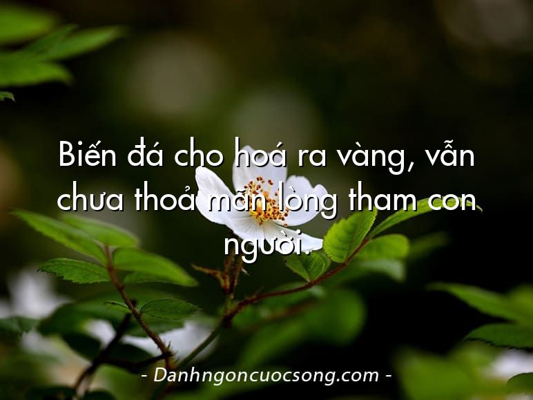Biến đá cho hoá ra vàng, vẫn chưa thoả mãn lòng tham con người.
