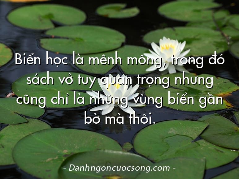 Biển học là mênh mông, trong đó sách vở tuy quan trọng nhưng cũng chỉ là những vùng biển gần bờ mà thôi.