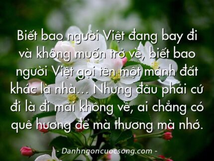 Biết bao người Việt đang bay đi và không muốn trở về, biết bao người Việt gọi tên một mảnh đất khác là nhà… Nhưng đâu phải cứ đi là đi mãi không về, ai chẳng có quê hương để mà thương mà nhớ.