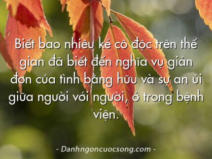 Biết bao nhiêu kẻ cô độc trên thế gian đã biết đến nghĩa vụ giản đơn của tình bằng hữu và sự an ủi giữa người với người, ở trong bệnh viện.