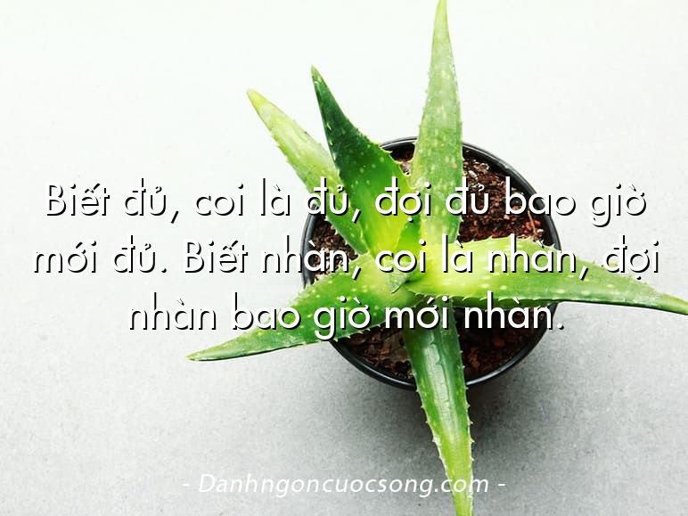 Biết đủ, coi là đủ, đợi đủ bao giờ mới đủ. Biết nhàn, coi là nhàn, đợi nhàn bao giờ mới nhàn.