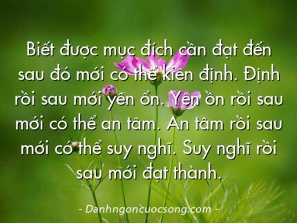 Biết được mục đích cần đạt đến sau đó mới có thể kiên định. Định rồi sau mới yên ổn. Yên ồn rồi sau mới có thể an tâm. An tâm rồi sau mới có thể suy nghĩ. Suy nghĩ rồi sau mới đạt thành.