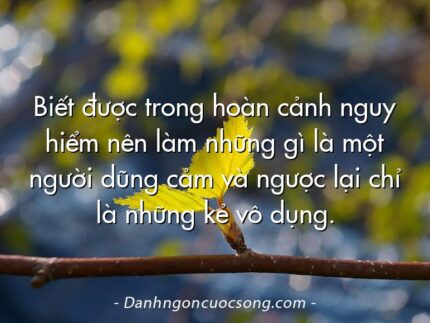 Biết được trong hoàn cảnh nguy hiểm nên làm những gì là một người dũng cảm và ngược lại chỉ là những kẻ vô dụng.