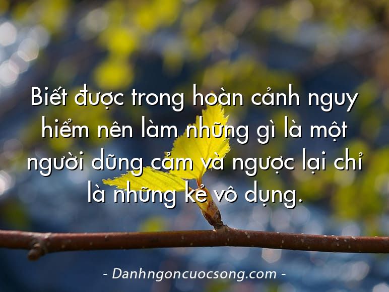 Biết được trong hoàn cảnh nguy hiểm nên làm những gì là một người dũng cảm và ngược lại chỉ là những kẻ vô dụng.