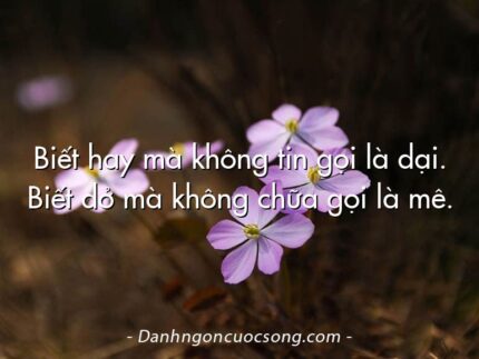Biết hay mà không tin gọi là dại. Biết dở mà không chữa gọi là mê.