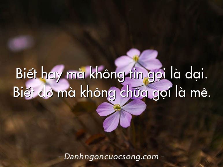 Biết hay mà không tin gọi là dại. Biết dở mà không chữa gọi là mê.