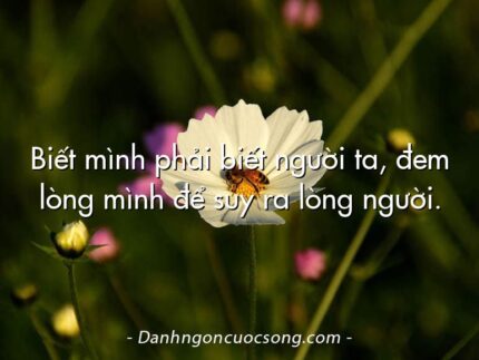 Biết mình phải biết người ta, đem lòng mình để suy ra lòng người.