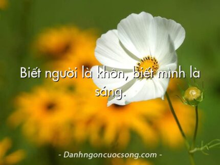 Biết người là khôn, biết mình là sáng.