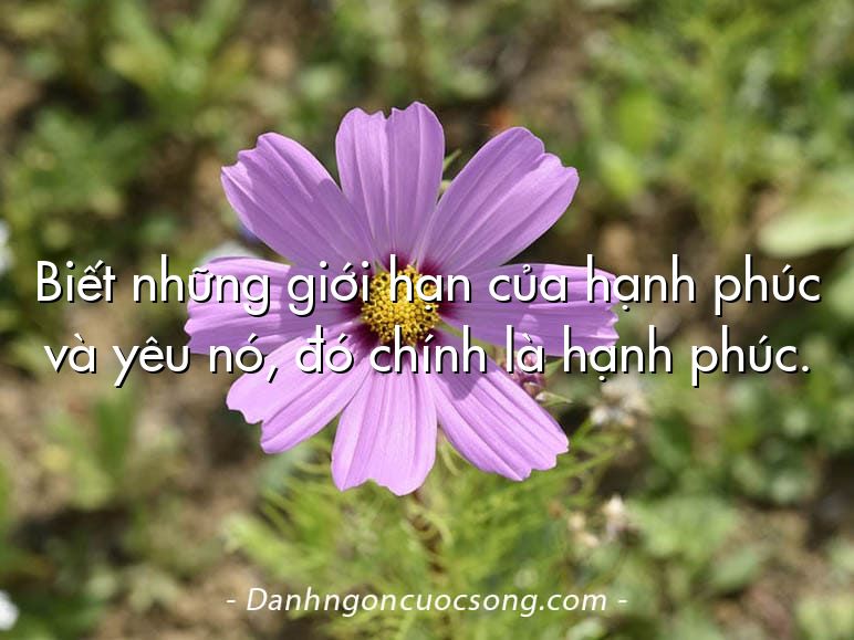 Biết những giới hạn của hạnh phúc và yêu nó, đó chính là hạnh phúc.