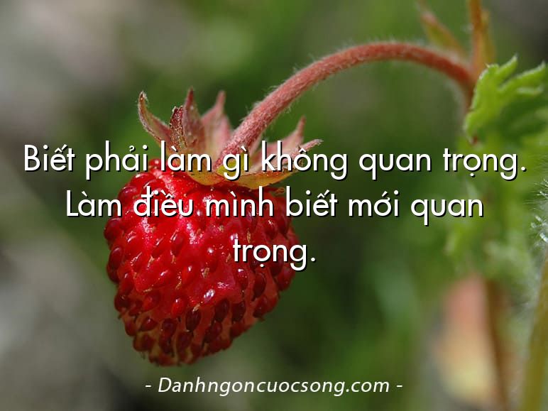Biết phải làm gì không quan trọng. Làm điều mình biết mới quan trọng.