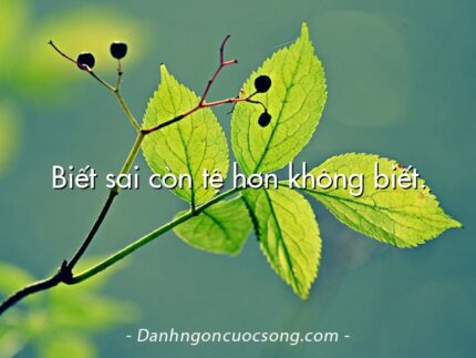 Biết sai còn tệ hơn không biết.