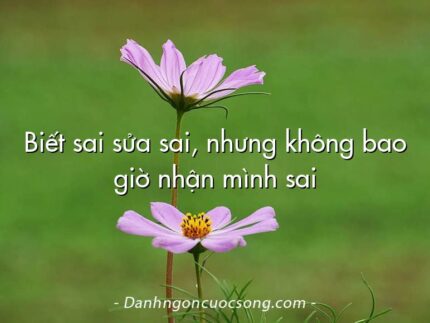 Biết sai sửa sai, nhưng không bao giờ nhận mình sai