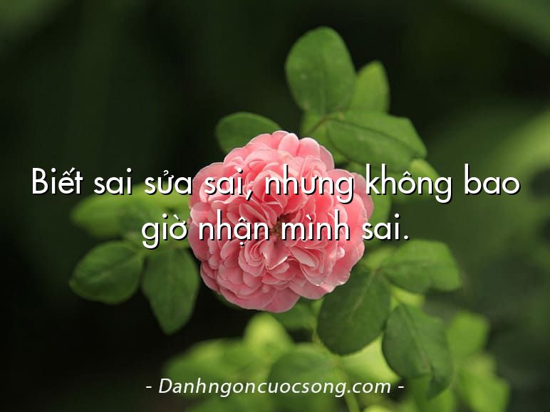 Biết sai sửa sai, nhưng không bao giờ nhận mình sai.