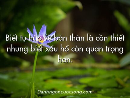 Biết tự hào về bản thân là cần thiết nhưng biết xấu hổ còn quan trọng hơn.