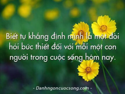 Biết tự khẳng định mình là một đòi hỏi bức thiết đối với mỗi một con người trong cuộc sống hôm nay.