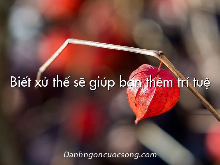 Biết xử thế sẽ giúp bạn thêm trí tuệ