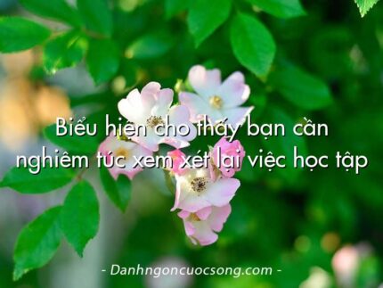 Biểu hiện cho thấy bạn cần nghiêm túc xem xét lại việc học tập