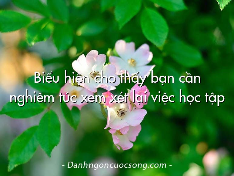 Biểu hiện cho thấy bạn cần nghiêm túc xem xét lại việc học tập