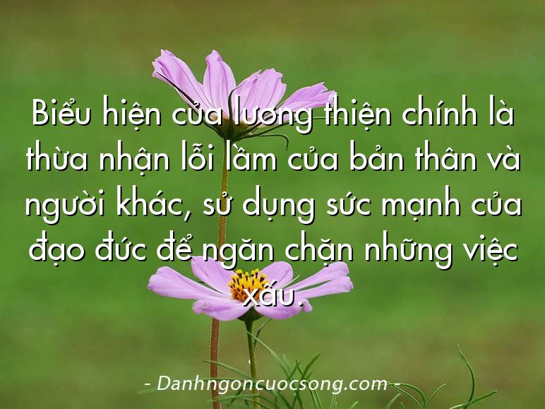 Biểu hiện của lương thiện chính là thừa nhận lỗi lầm của bản thân và người khác, sử dụng sức mạnh của đạo đức để ngăn chặn những việc xấu.
