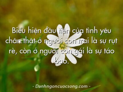 Biểu hiện đầu tiên của tình yêu chân thật ở người con trai là sự rụt rè, còn ở người con gái là sự táo bạo.