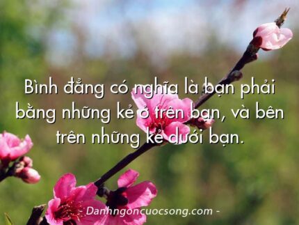Bình đẳng có nghĩa là bạn phải bằng những kẻ ở trên bạn, và bên trên những kẻ dưới bạn.