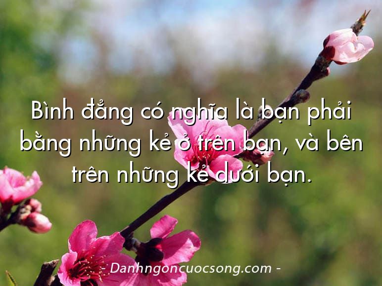 Bình đẳng có nghĩa là bạn phải bằng những kẻ ở trên bạn, và bên trên những kẻ dưới bạn.