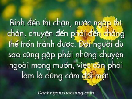 Binh đến thì chặn, nước ngập thì chắn, chuyện đến phải đến chẳng thể trốn tránh được. Đời người dù sao cũng gặp phải những chuyện ngoài mong muốn, việc cần phải làm là dũng cảm đối mặt.