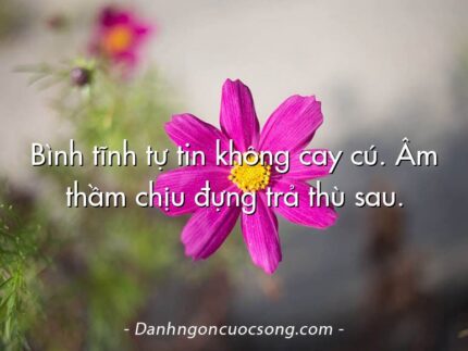 Bình tĩnh tự tin không cay cú. Âm thầm chịu đựng trả thù sau.