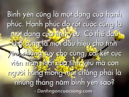Bình yên cũng là một dạng của hạnh phúc. Hạnh phúc đó rốt cuộc cũng là một dạng của tình yêu. Có thể đau khổ cũng là một dấu hiệu cho tình yêu, nhưng suy cho cùng, cái kết cục viên mãn nhất của tình yêu mà con người hằng mong mỏi chẳng phải là những tháng năm bình yên sao?