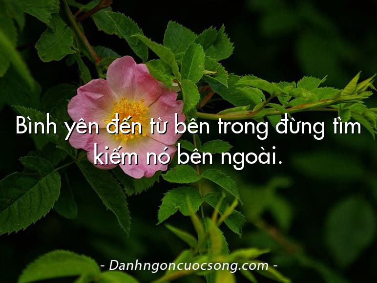 Bình yên đến từ bên trong đừng tìm kiếm nó bên ngoài.