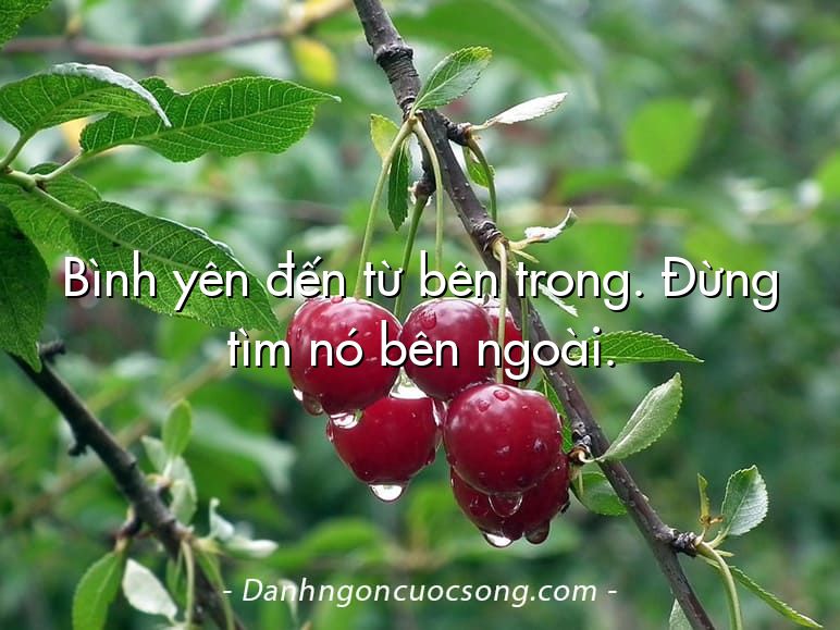 Bình yên đến từ bên trong. Đừng tìm nó bên ngoài.